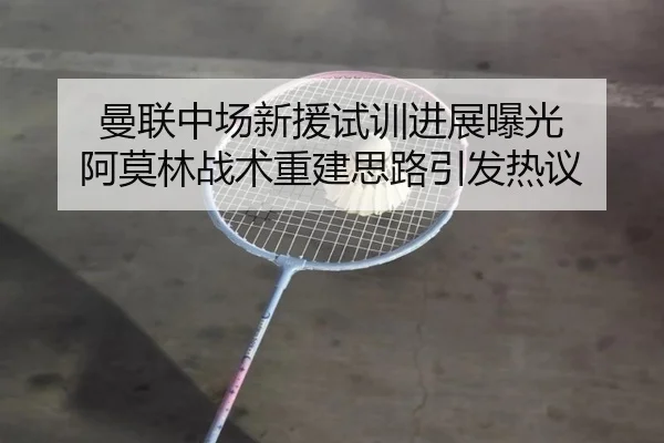 曼联中场新援试训进展曝光 阿莫林战术重建思路引发热议
